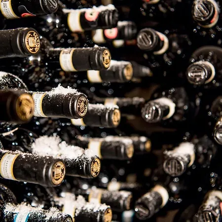 沃斯凡根公园酒店 酒店 Voss