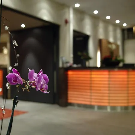 酒店 沃斯凡根公园酒店 3*