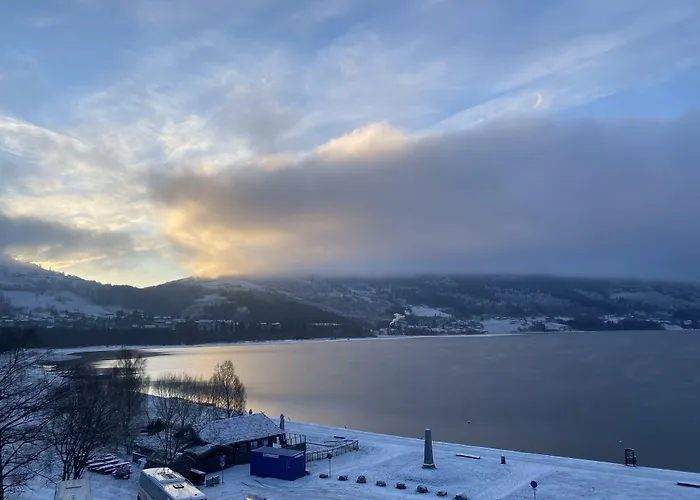 パーク ボスバンゲン ヴォス